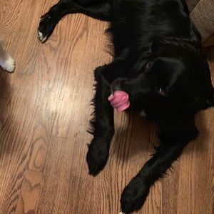 Meet your Posher, Jackie